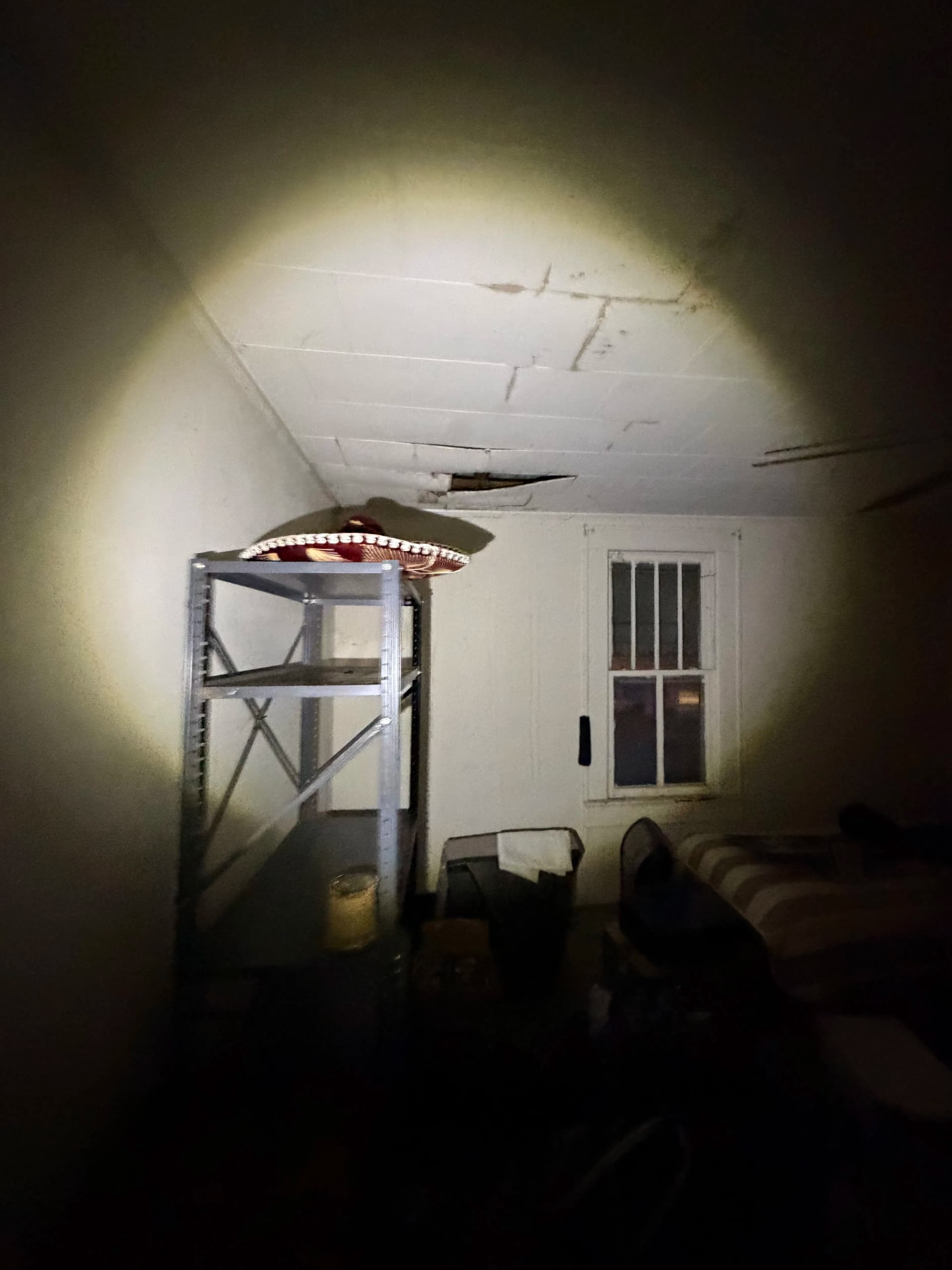 Rental House Cleanup and Full Flooring Overhaul
